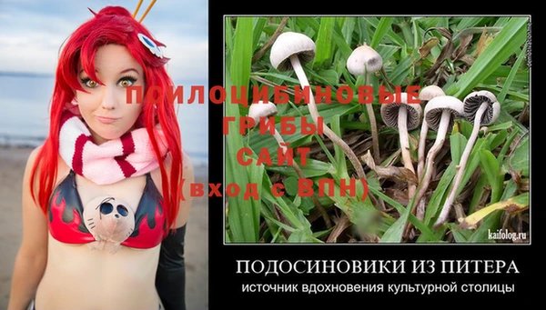 ГАЛЛЮЦИНОГЕННЫЕ ГРИБЫ Козельск