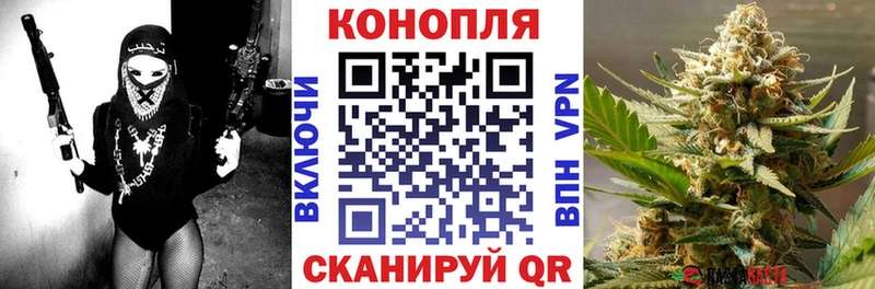 где купить наркоту  Курган  Шишки марихуана марихуана 
